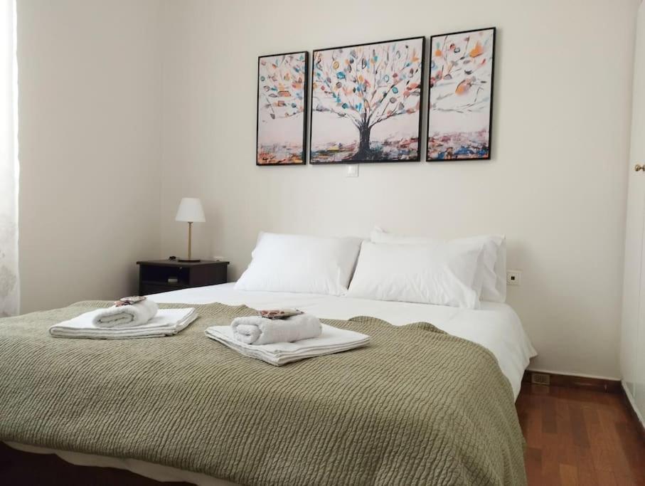Calliope'S Neoclassical Home In The Heart Of Plaka 아테네 외부 사진